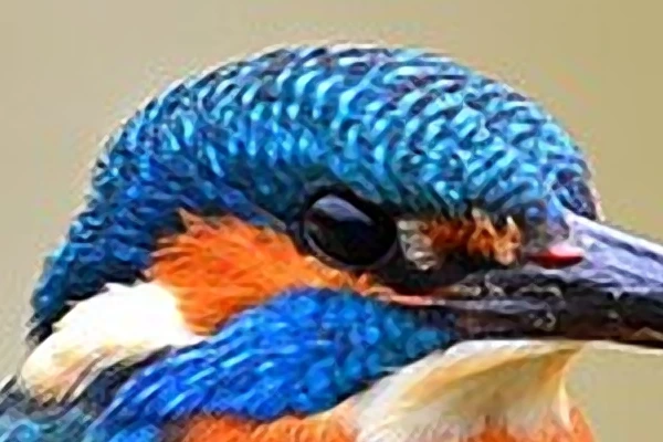 Kingfisher: result crop